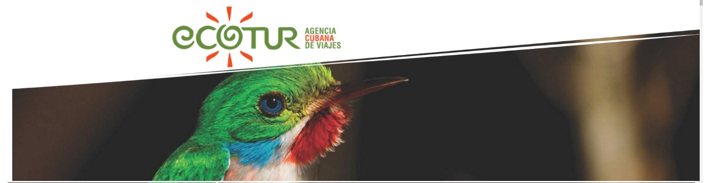 Agencia de Viajes Ecotur